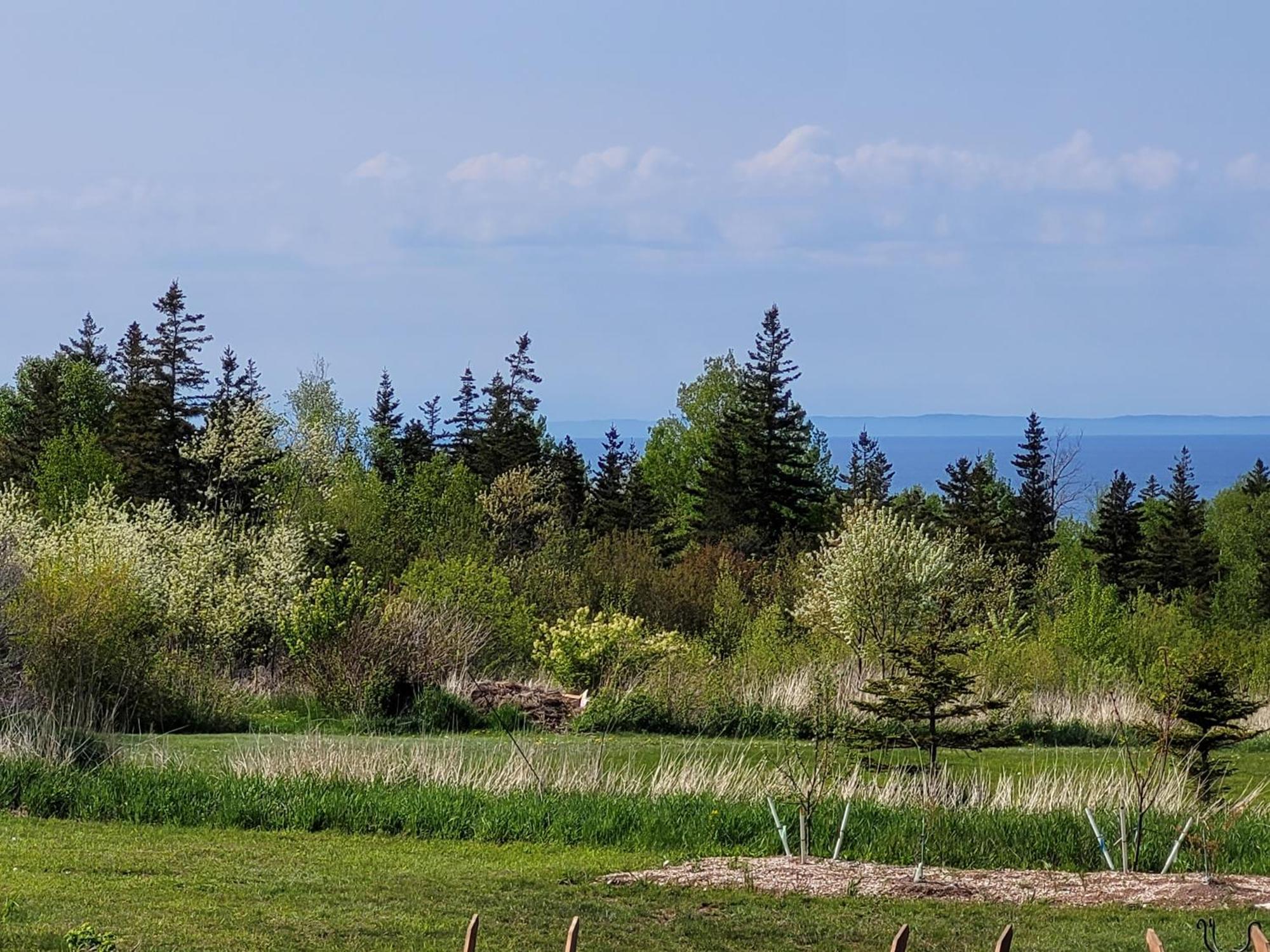 Middleton Edelweiss Inn Nova Scotia מראה חיצוני תמונה