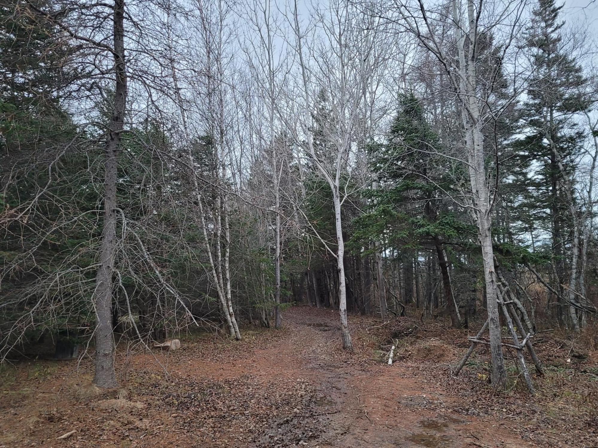 Middleton Edelweiss Inn Nova Scotia מראה חיצוני תמונה
